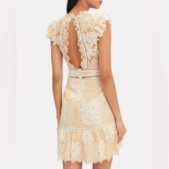 SAYLOR
Kelly Lace Mini Dress (D2) - Picture 5 of 11